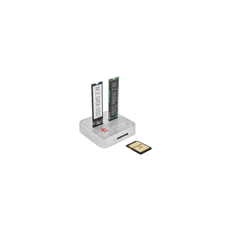 Delock - Dokovací stanice SSD - oddílů: 2 - M.2 - M.2 NVMe Card - USB 3.2 (Gen 2) - stříbrná