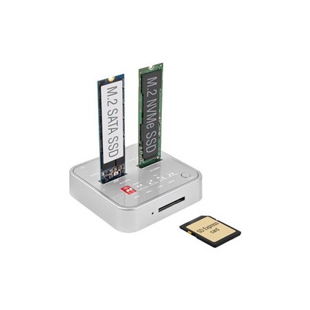 Delock - Dokovací stanice SSD - oddílů: 2 - M.2 - M.2 NVMe Card - USB 3.2 (Gen 2) - stříbrná