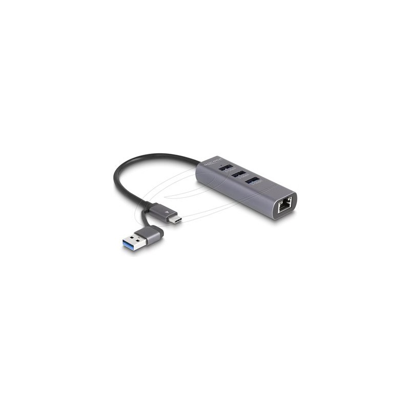 Delock - Rozbocovac - with USB Type-C or USB Type-A connector, in metal case - 3 x USB 3.2 Gen 1 + 1 x 10/100/1000 - desktop