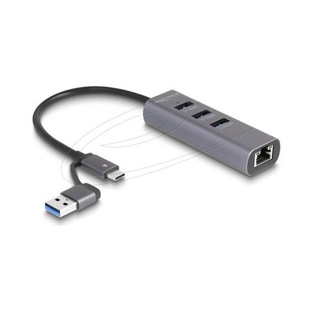 Delock - Rozbocovac - with USB Type-C or USB Type-A connector, in metal case - 3 x USB 3.2 Gen 1 + 1 x 10/100/1000 - desktop