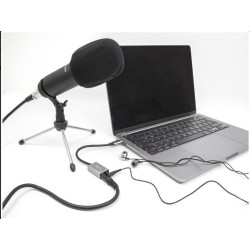 Delock - Adaptér USB-C/jack sluchátek - 24 pin USB-C s piny (male) do mono mini jack, mini-phone stereo 3.5 mm se zdírkami