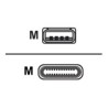 Huddly - Kabel USB - USB typ A (M) do USB-C (M) - USB 3.1 Gen 1 - 5 V - 2 A - 60 cm - černá - pro IQ