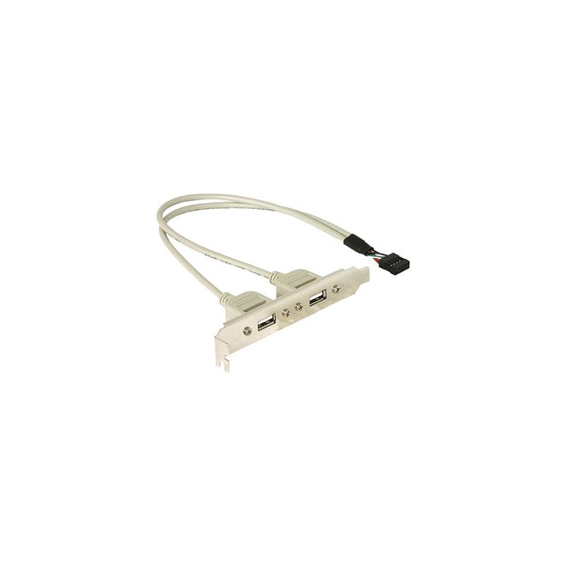 Delock - Panel USB - USB záhlaví 10 pinů (M) do USB (F) - 30 cm