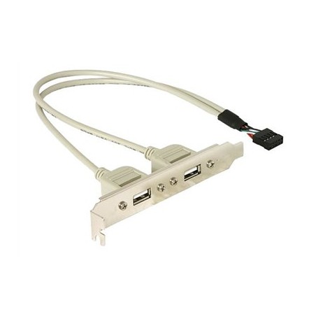Delock - Panel USB - USB záhlaví 10 pinů (M) do USB (F) - 30 cm