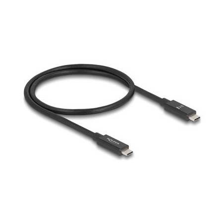 Delock - USB kabel - 24 pin USB-C (M) do 24 pin USB-C (M) - Thunderbolt 4 - 48 V - 5 A - 50 cm - podpora 8K120Hz (7680 x 4320)