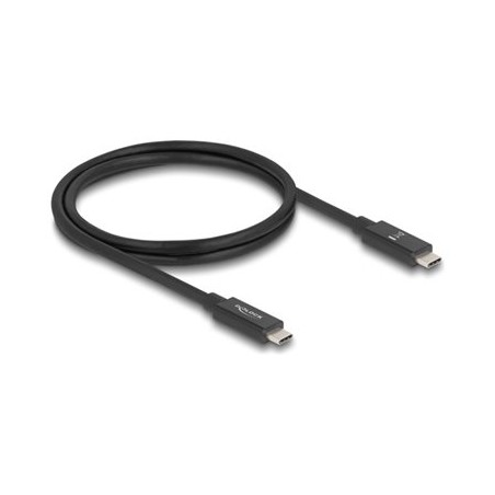 Delock - USB kabel - 24 pin USB-C (M) do 24 pin USB-C (M) - Thunderbolt 4 - 48 V - 5 A - 1 m - podpora napájení až 240 W