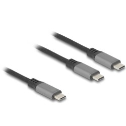 Delock - USB kabel - 24 pin USB-C (M) do 24 pin USB-C (M) - 20 V - 5 A - 1.2 m - USB napájení (100W), podpora Power Delivery