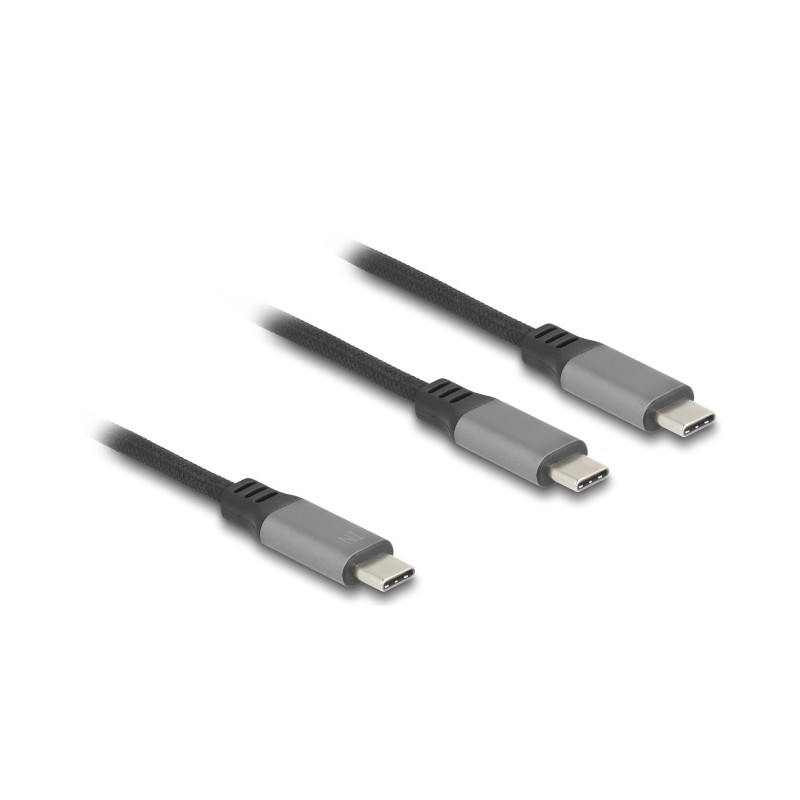 Delock - USB kabel - 24 pin USB-C (M) do 24 pin USB-C (M) - 20 V - 5 A - 1.2 m - USB napájení (100W), podpora Power Delivery