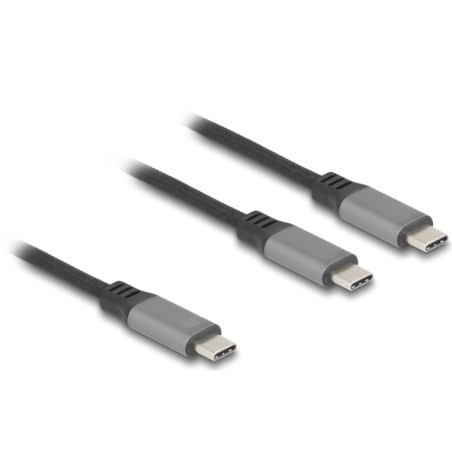 Delock - USB kabel - 24 pin USB-C (M) do 24 pin USB-C (M) - 20 V - 5 A - 1.2 m - USB napájení (100W), podpora Power Delivery