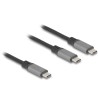 Delock - USB kabel - 24 pin USB-C (M) do 24 pin USB-C (M) - 20 V - 5 A - 1.2 m - USB napájení (100W), podpora Power Delivery