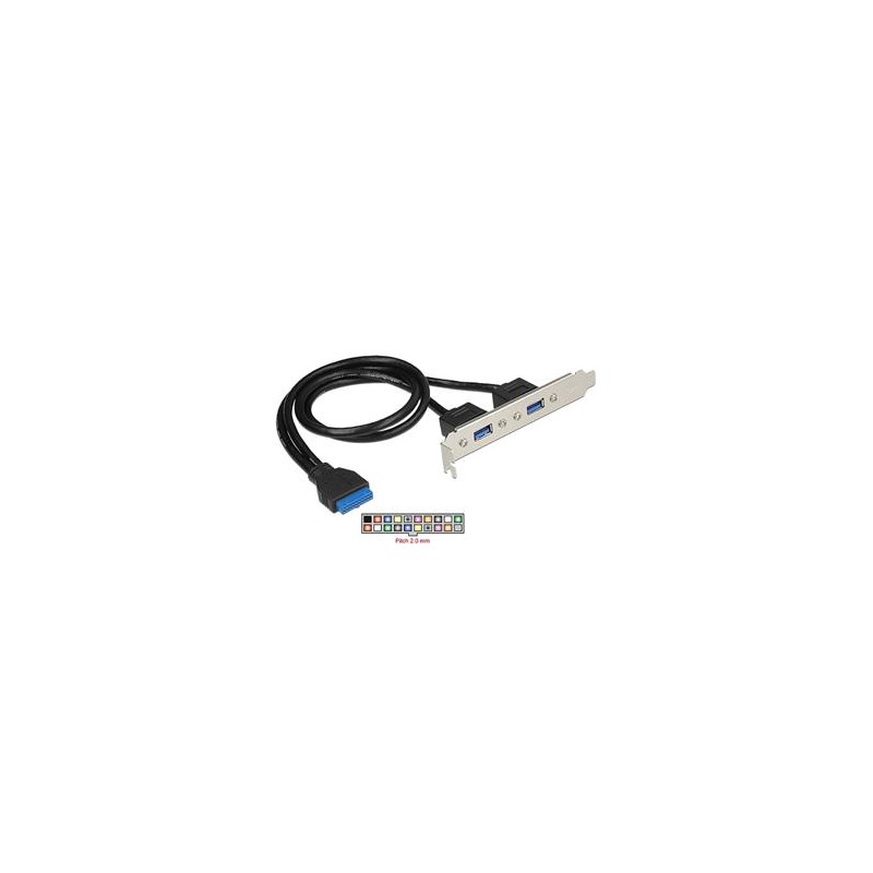 Delock Slot bracket - Panel USB - USB typ A (F) do 19 pin USB 3.0 header (F) - pro Delock Converter M.2