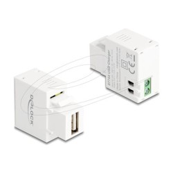 Delock - Sítový adaptér - 5 Watt - 1 A (USB) - bílá