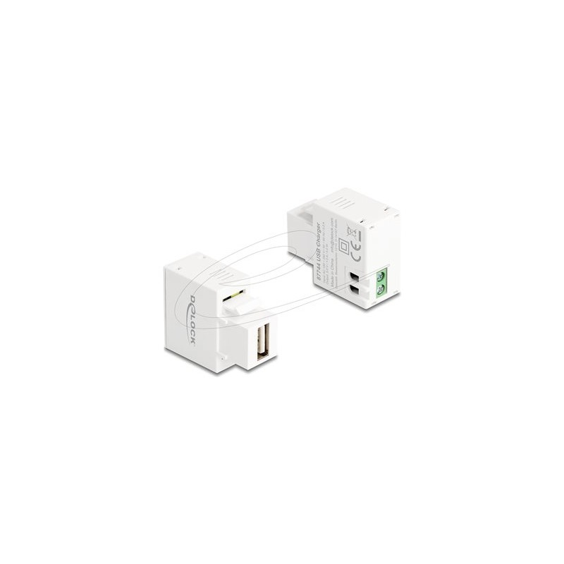 Delock - Sítový adaptér - 5 Watt - 1 A (USB) - bílá