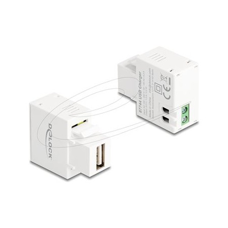 Delock - Sítový adaptér - 5 Watt - 1 A (USB) - bílá