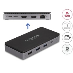 Delock - Dokovací stanice - USB-C / Thunderbolt 3 / Thunderbolt 4 - 2 x HDMI - 1GbE