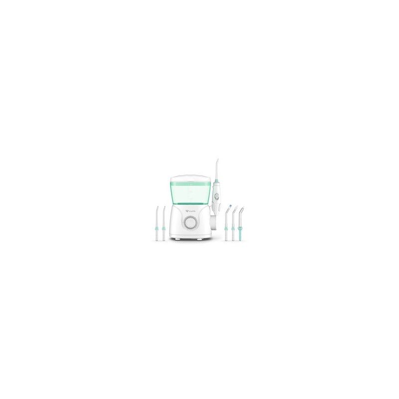 TrueLife AquaFloss Station S600
