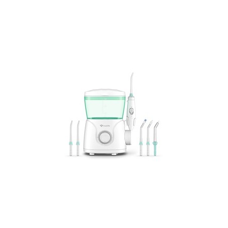 TrueLife AquaFloss Station S600