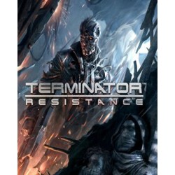 ESD Terminator Resistance