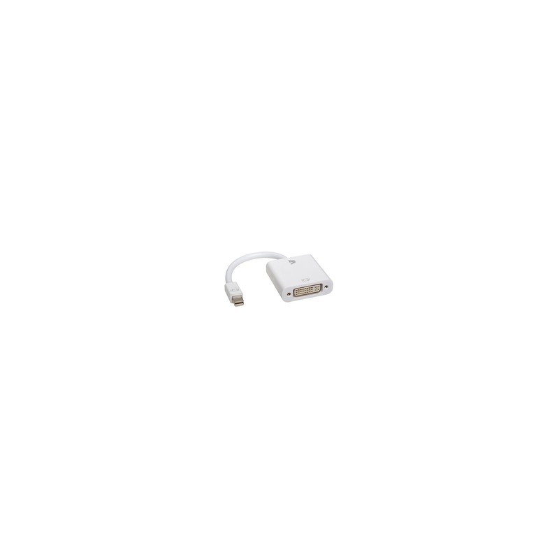 V7 Mini DisplayPort TO DVI Adptr/Mini DP TO DVI-D Adptr 1080P FHD