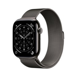 Apple Watch S11 Cell/46/Elegant Band/Slate MFD44WFA