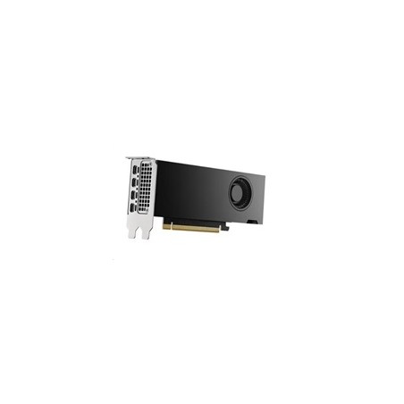 DELL NVIDIA RTX 2000 Ada Generation 16 GB GDDR6 half height PCIe 4.0 x 8 4 mDP Graphics Card