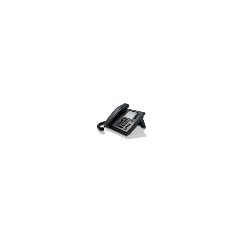 IP111 2X FAST ETHERNET 100 MB/S/TRUE COLOR DISPLAY 3.5