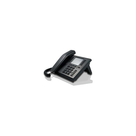 IP111 2X FAST ETHERNET 100 MB/S/TRUE COLOR DISPLAY 3.5