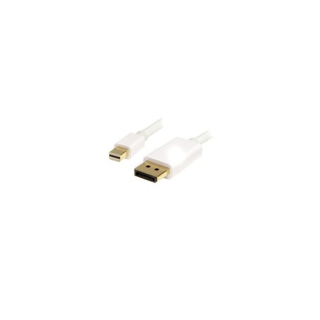 Startech 1M 3FT Mini DP TO DP 1.2 Cable/.