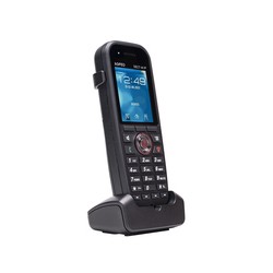 DECT 44 IP/