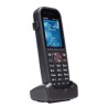 DECT 44 IP/