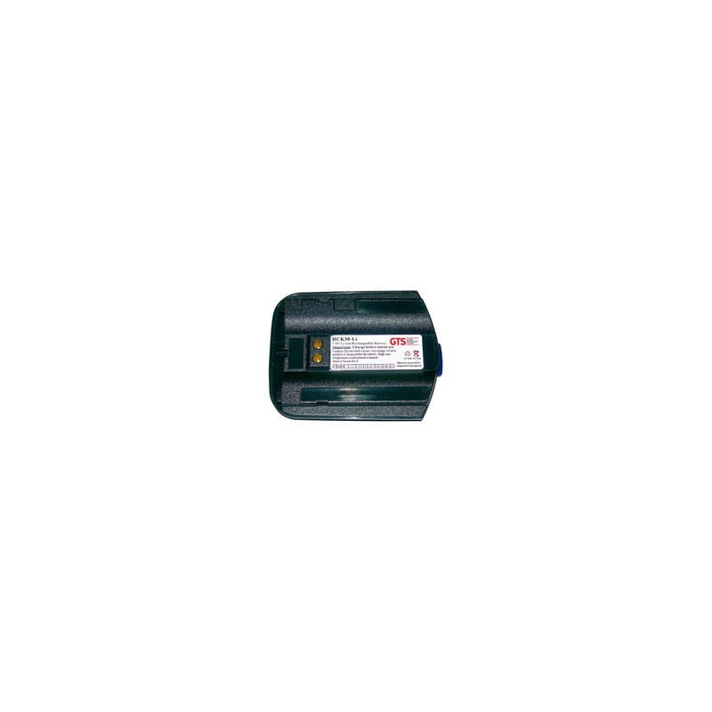 GTS Electronics CK30/31 LI Ion 2400MAH 7.4V/318-020-001