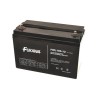 Akumulátor FUKAWA FWL100-12 (12V 100Ah živ. 10let)