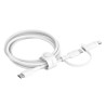 Belkin Boost Charge 2IN1 Kabel/USBC Lightning-Anschlus Schwarz