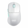 M64 WIRELESS WHITE MOUSE/WIRELESS