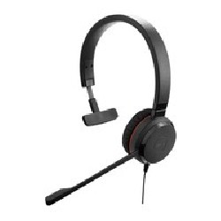 Jabra Evolve 20 Spec Edit Mono MS/Quick Start Guide Warranty