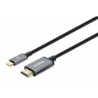Manhattan kabel USB-C na HDMI, USB-C Male na HDMI Male, 2m, černá
