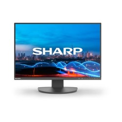 DD-EA241W BLACK 24IN/IPS 1920X1200 16:10 5MS 1000:1 3 60006210