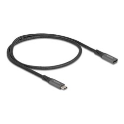 Delock - Prodlužovací USB kabel - 24 pin USB-C (M) do 24 pin USB-C (F) - USB 3.1 Gen 2 - 20 V - 5 A - 0.5 m - USB napájení