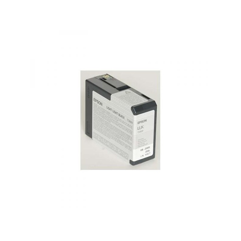 Epson T580 Light Light Black (80 ml)