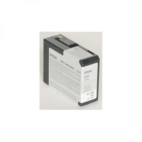 Epson T580 Light Light Black (80 ml)