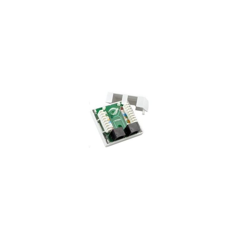 Zásuvka UTP 2x RJ45 Cat5E, duální svorkovnice, na omítku