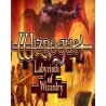 Wizrogue Labyrinth of Wizardry – hra pro PC (elektronická licence)