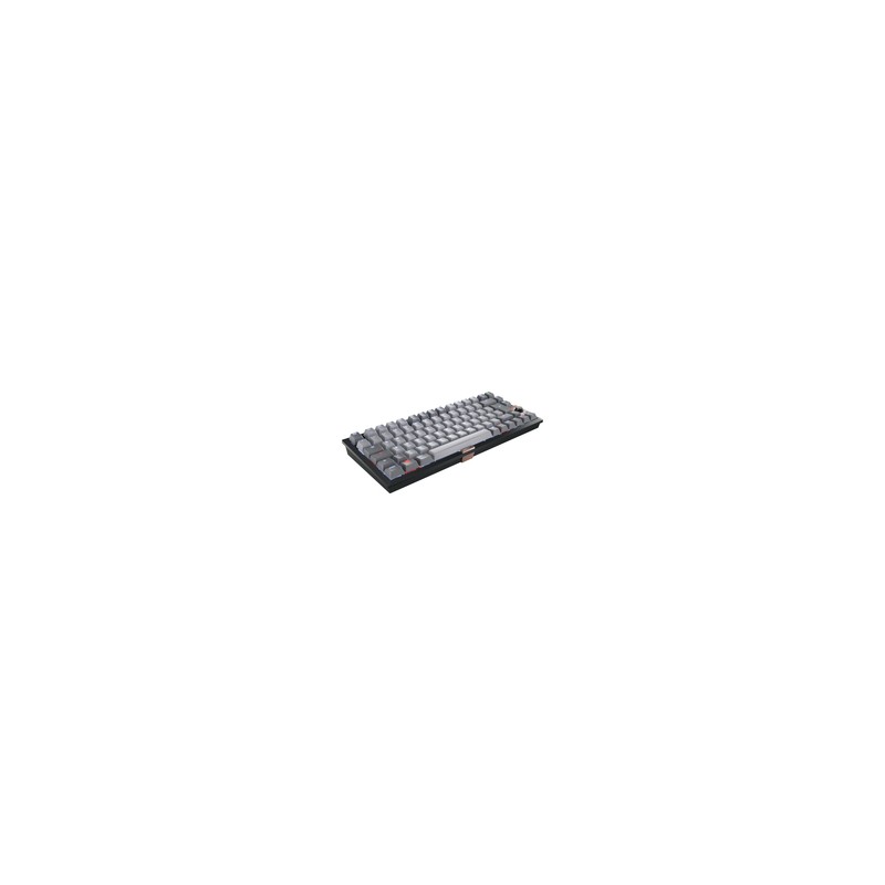 12033087/KEYBOARD WIRELESS MX 2A SILENT R