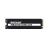 PATRIOT P400 Lite/1TB/SSD/M.2 NVMe/Heatsink/5R P400LP1KGM28H