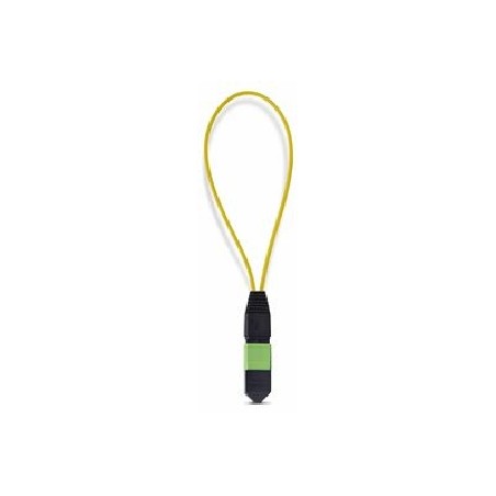 SINGLE MODE MPO LOOPBACK PLUG/. LOOPBACKMTP12OS2SMF
