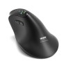 PORT CONNECT ERGO AUDITOR BT myš černá