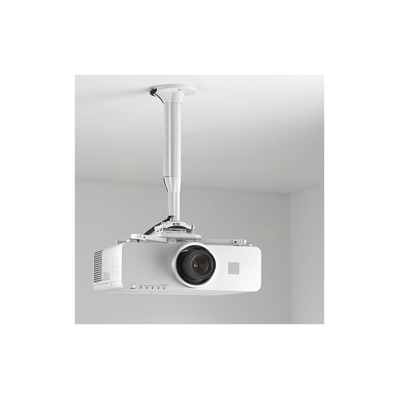 KITEC030045W, Chief KITEC030045W
