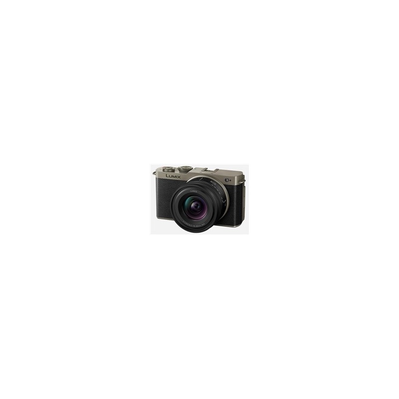 Panasonic Lumix DC-S9 + 18-40mm F4,5-6,3