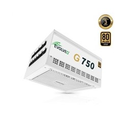 EVOLVEO G750, zdroj 750W, 80+ GOLD, ATX 3.1, aPFC, 140 mm ventilátor, plně modulární, záruka 3 roky, bílý