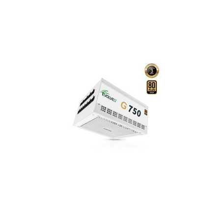 EVOLVEO G750, zdroj 750W, 80+ GOLD, ATX 3.1, aPFC, 140 mm ventilátor, plně modulární, záruka 3 roky, bílý